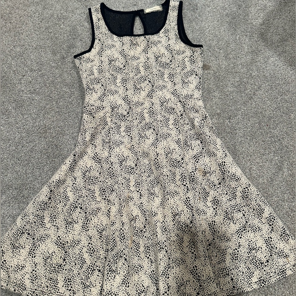 Black and White Skater Dress